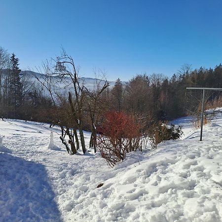 Villa Venkovsky Dum Horní Bečva Esterno foto